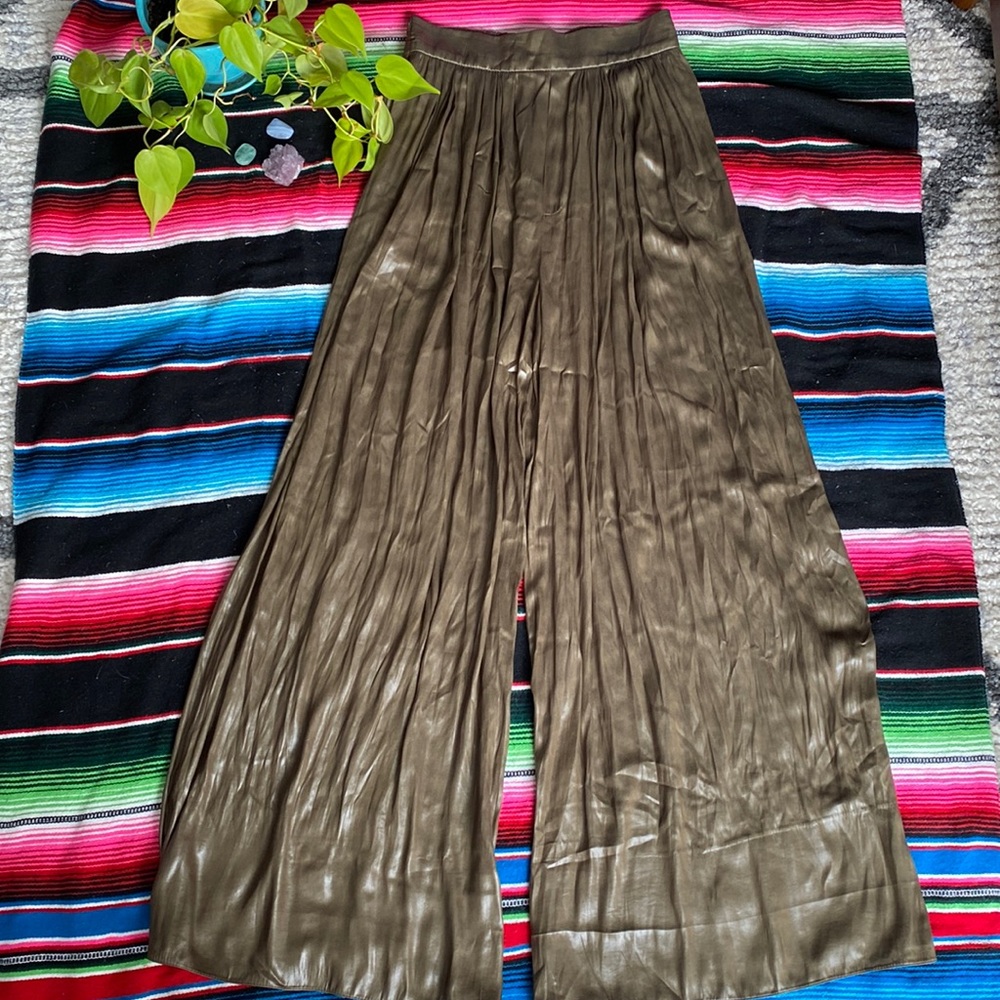 Zara Wrinkle Pants